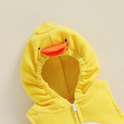 Pollito