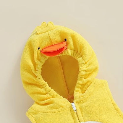 Pollito