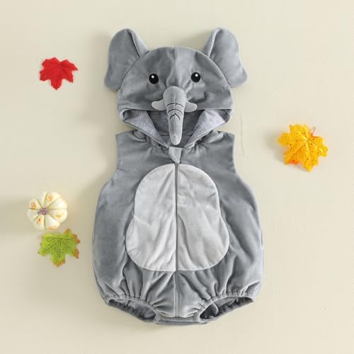 Elefante