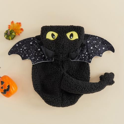 Dragón