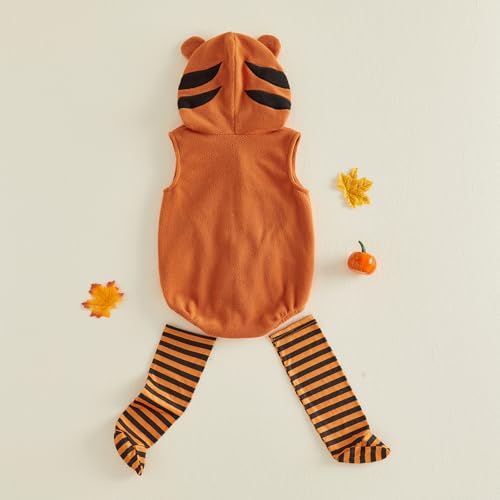Tigre