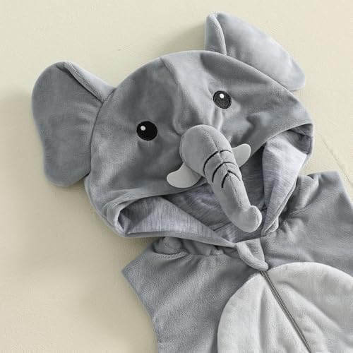 Elefante