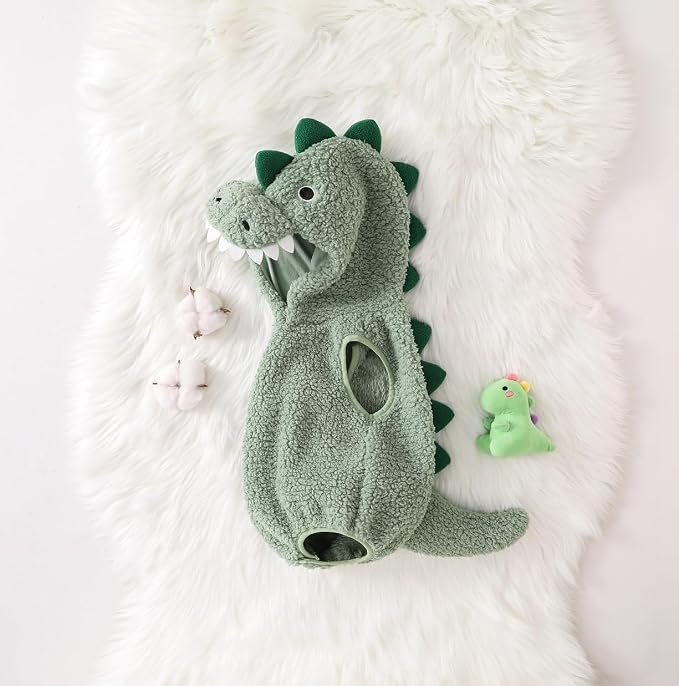 Disfraz de Dinosaurio con Capucha