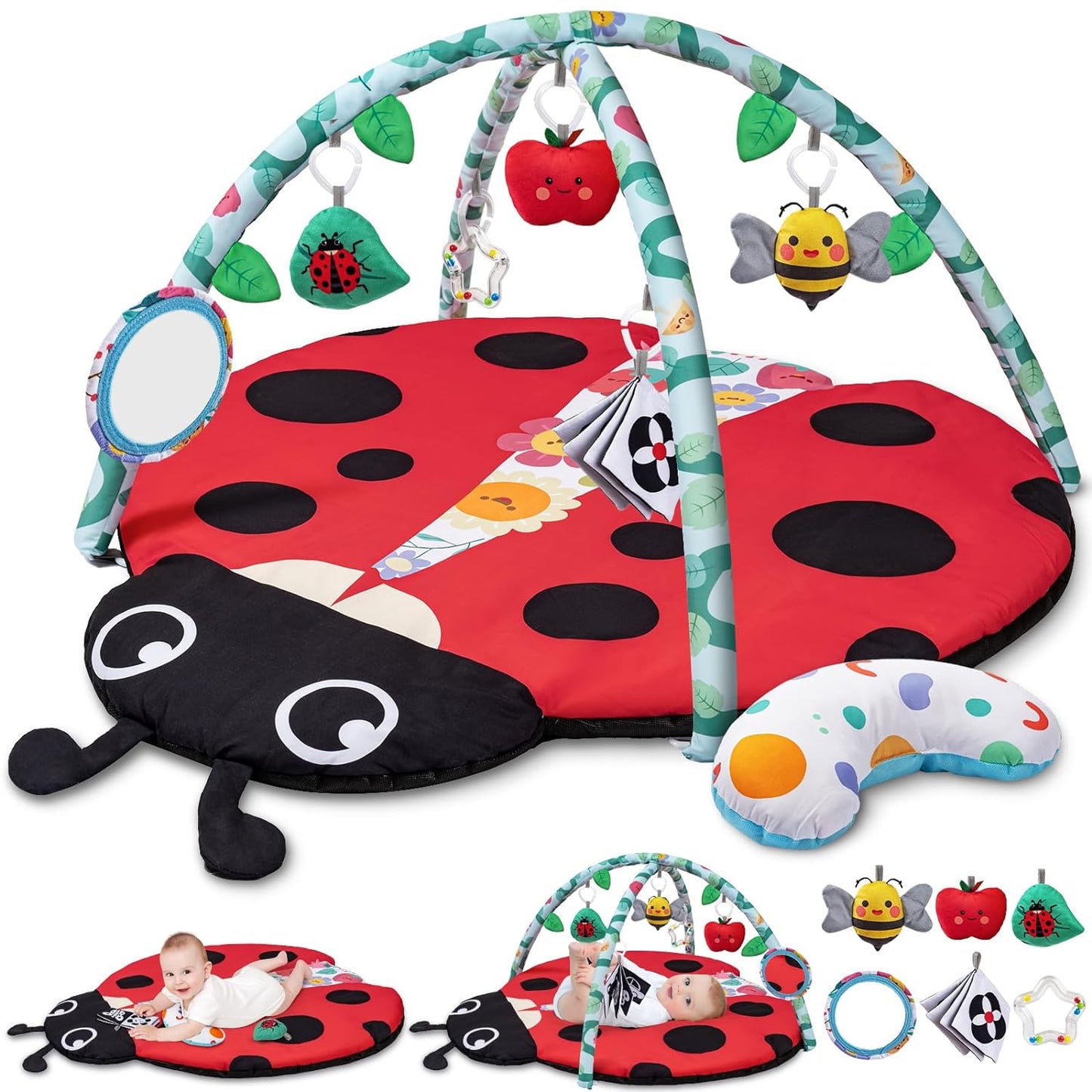 Gimnasio de Actividades y Estimulación Sensorial Ladybug