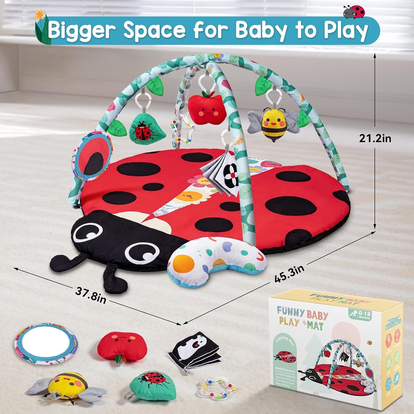 Gimnasio de Actividades y Estimulación Sensorial Ladybug