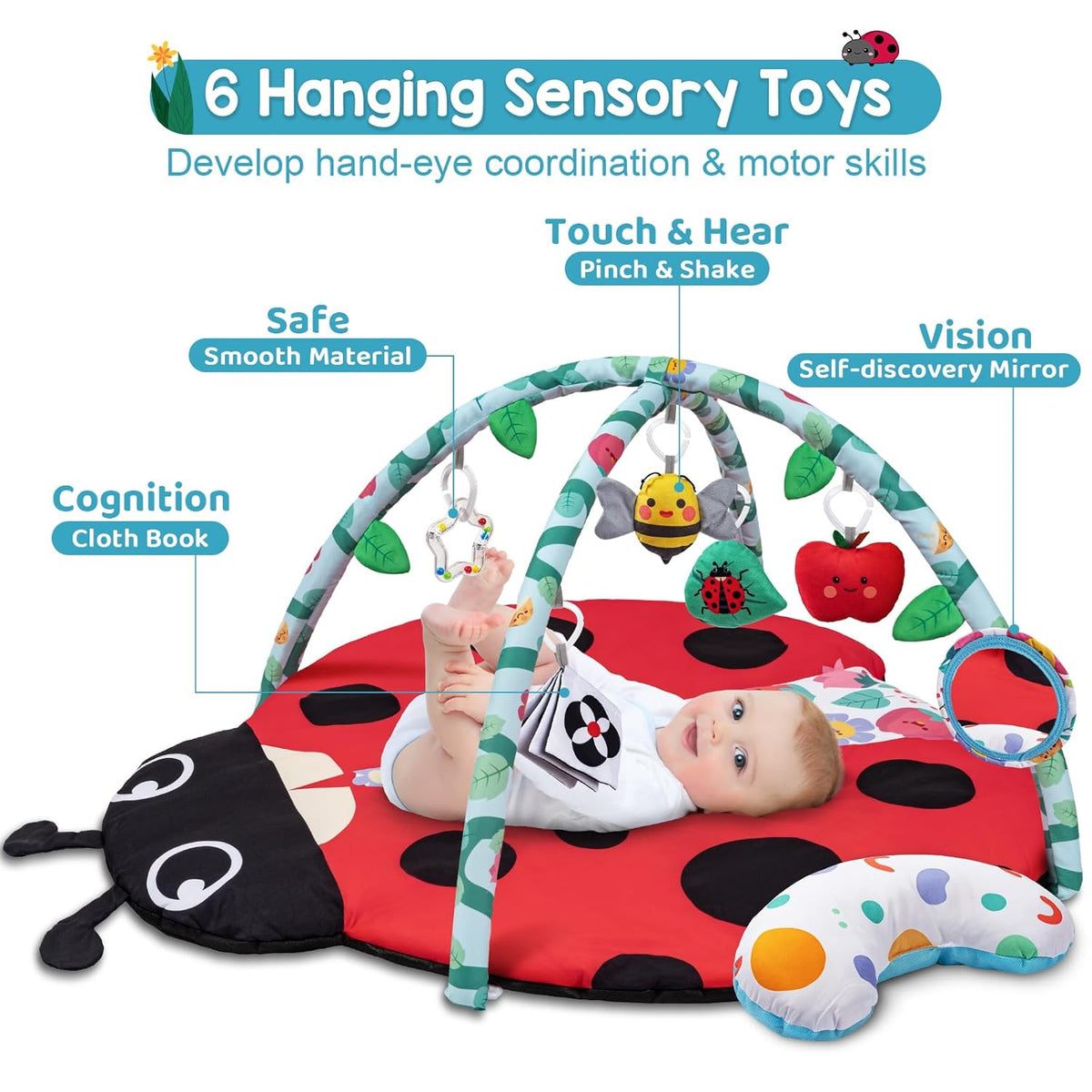 Gimnasio de Actividades y Estimulación Sensorial Ladybug