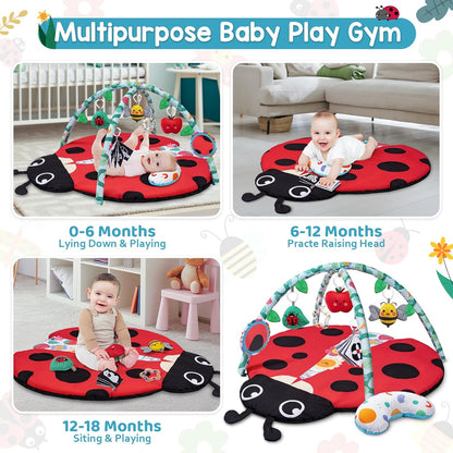 Gimnasio de Actividades y Estimulación Sensorial Ladybug