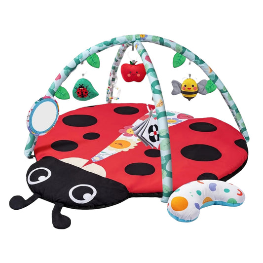Gimnasio de Actividades y Estimulación Sensorial Ladybug